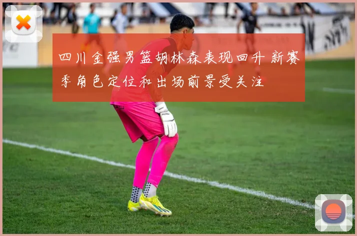四川金强男篮胡林森表现回升 新赛季角色定位和出场前景受关注