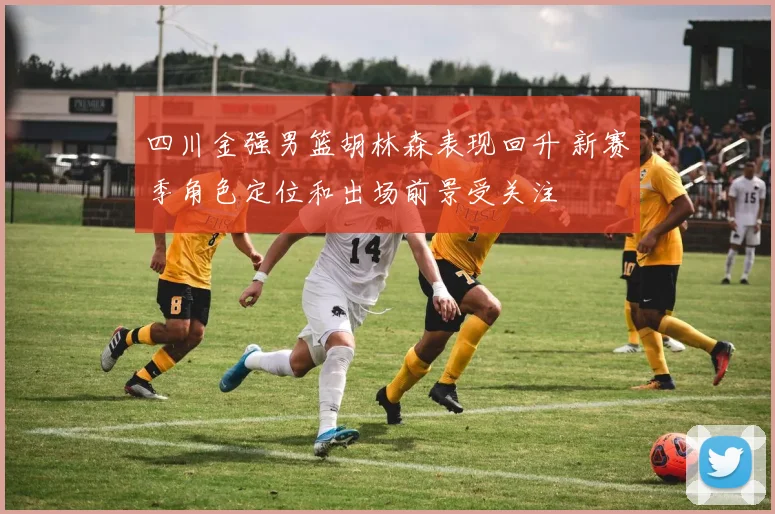 四川金强男篮胡林森表现回升 新赛季角色定位和出场前景受关注
