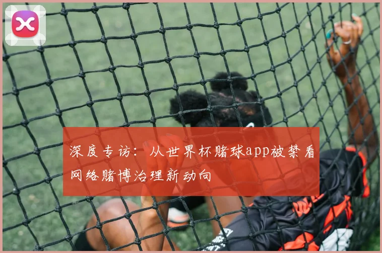 深度专访：从世界杯赌球app被禁看网络赌博治理新动向