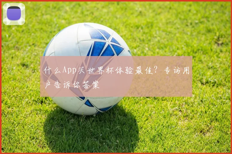 什么App买世界杯体验最佳？专访用户告诉你答案