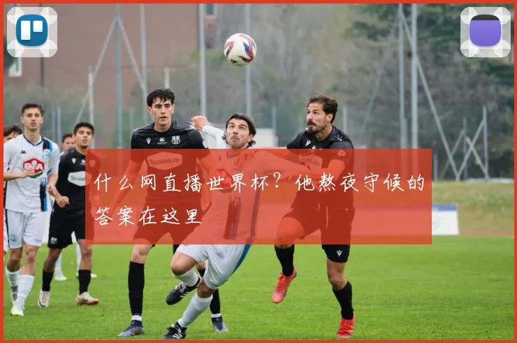 什么网直播世界杯？他熬夜守候的答案在这里