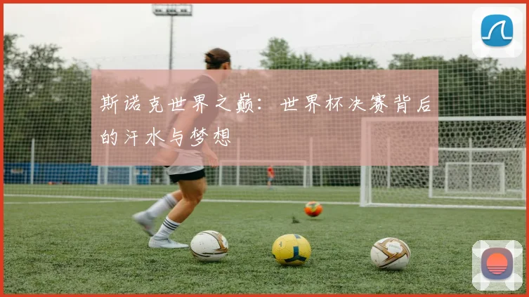 斯诺克世界之巅：世界杯决赛背后的汗水与梦想