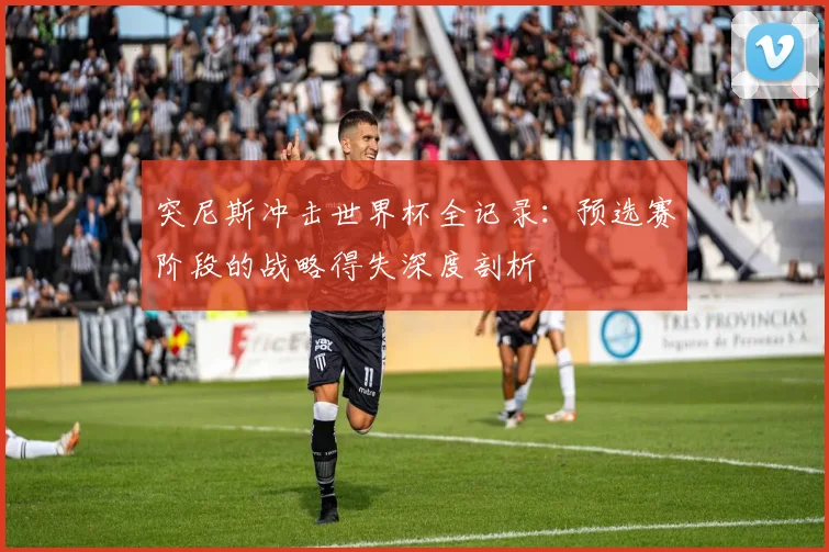 突尼斯冲击世界杯全记录：预选赛阶段的战略得失深度剖析