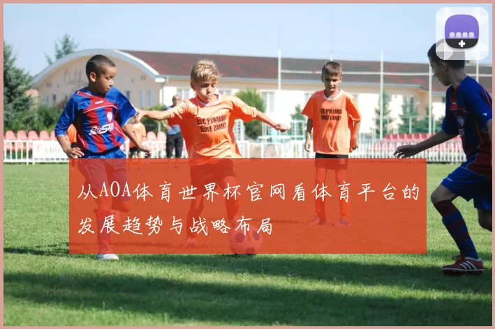 从AOA体育世界杯官网看体育平台的发展趋势与战略布局