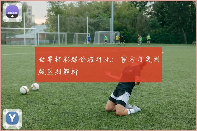 世界杯彩球价格对比：官方与复刻版区别解析