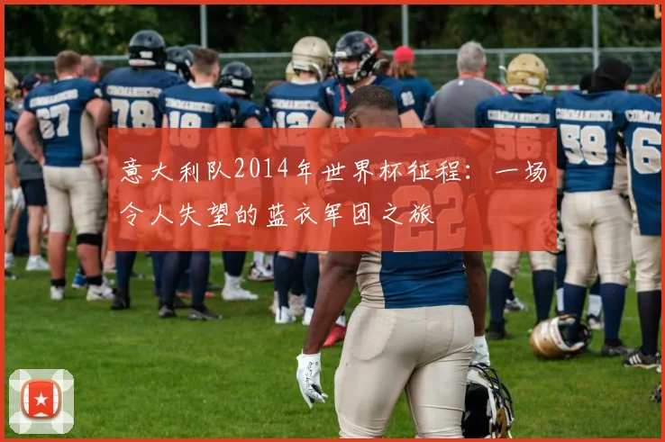 意大利队2014年世界杯征程：一场令人失望的蓝衣军团之旅